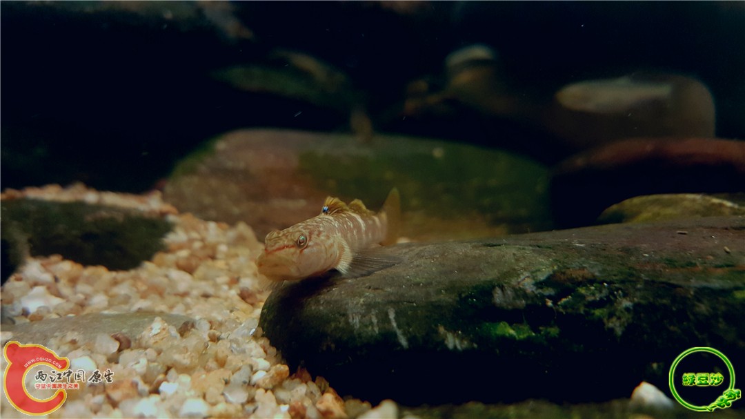 2016-05-02 15.41.45.jpg