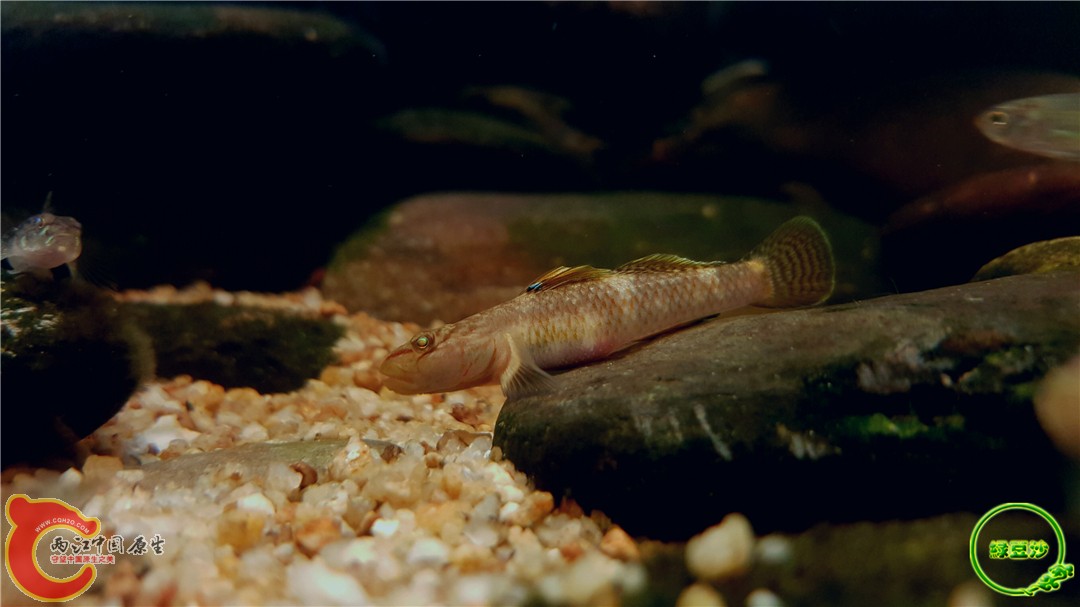 2016-05-02 15.42.22.jpg