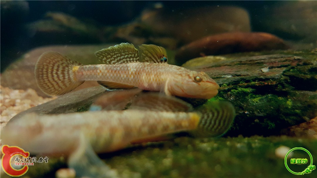 2016-05-02 15.43.08.jpg