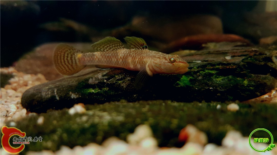 2016-05-02 15.45.27.jpg