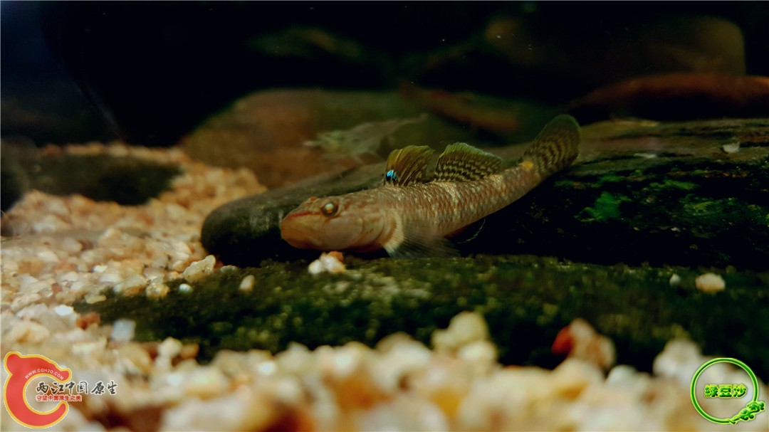 2016-05-02 15.46.04.jpg