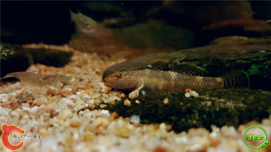 2016-05-02 15.48.03.jpg