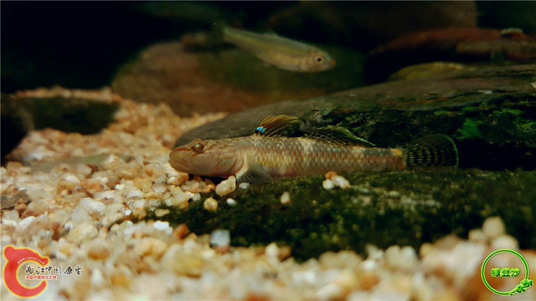 2016-05-02 15.48.34.jpg