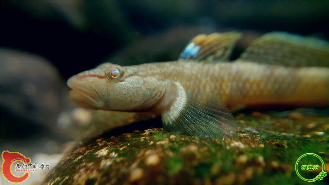 2016-05-02 18.17.49.jpg