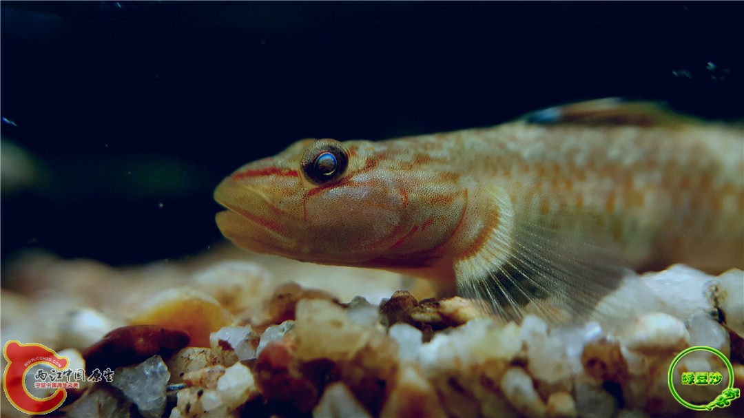 2016-05-02 18.18.58.jpg