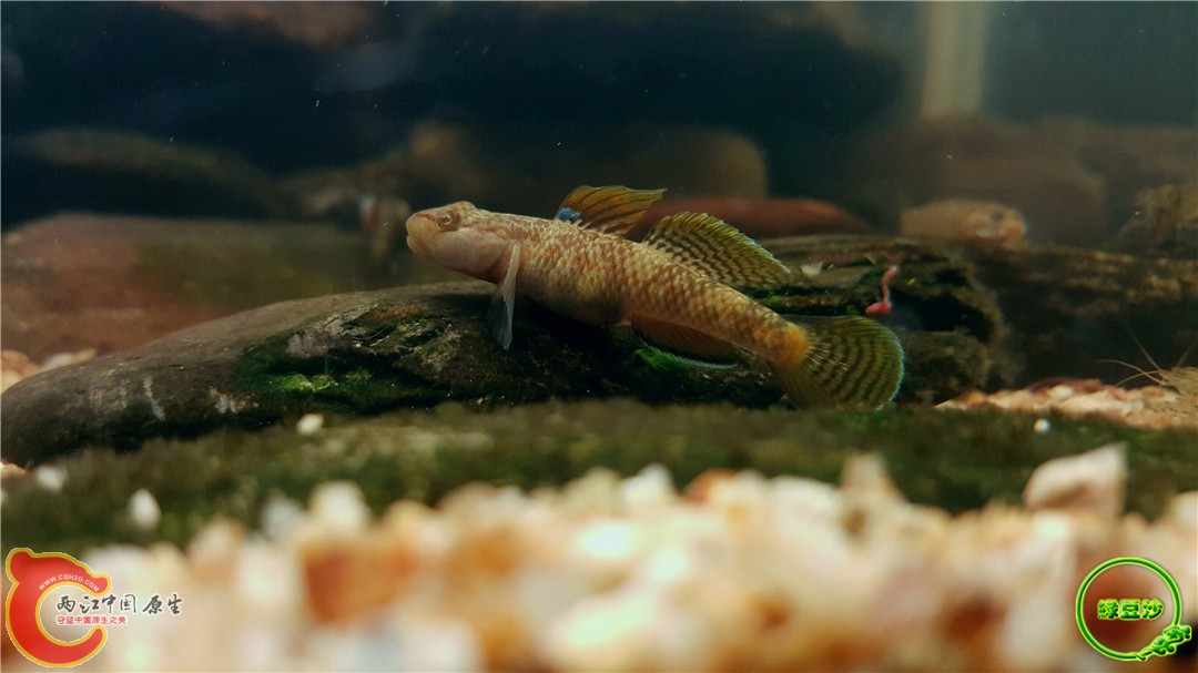 2016-05-02 18.20.38.jpg