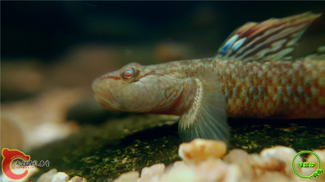 2016-05-02 18.23.37.jpg