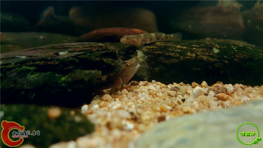 2016-05-02 18.53.15.jpg