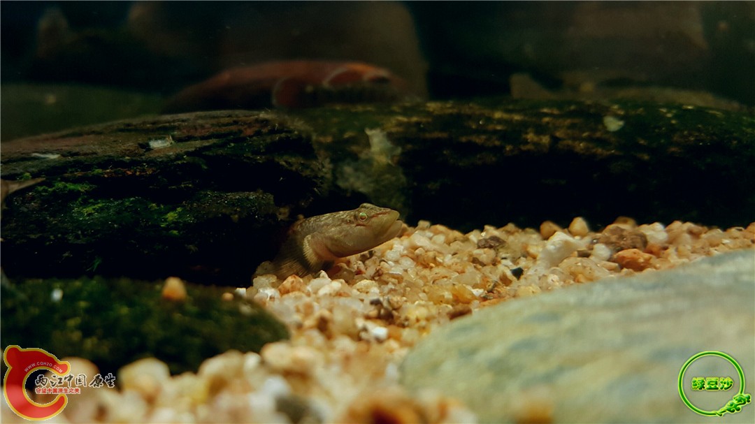 2016-05-02 18.53.29.jpg