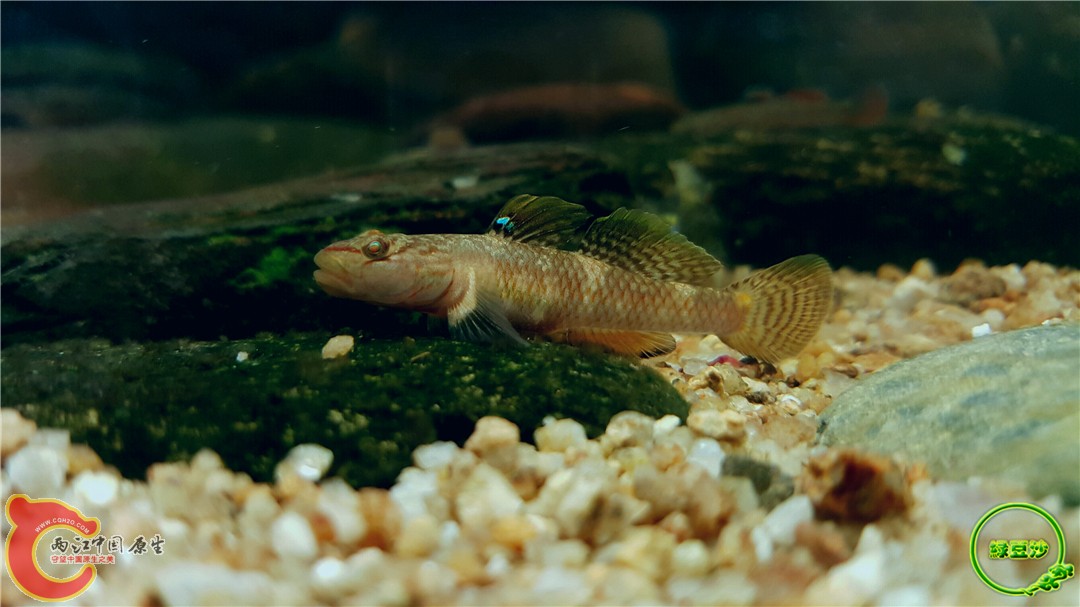 2016-05-02 19.01.27.jpg