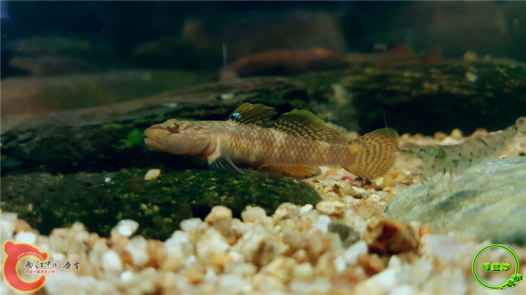 2016-05-02 19.01.40.jpg