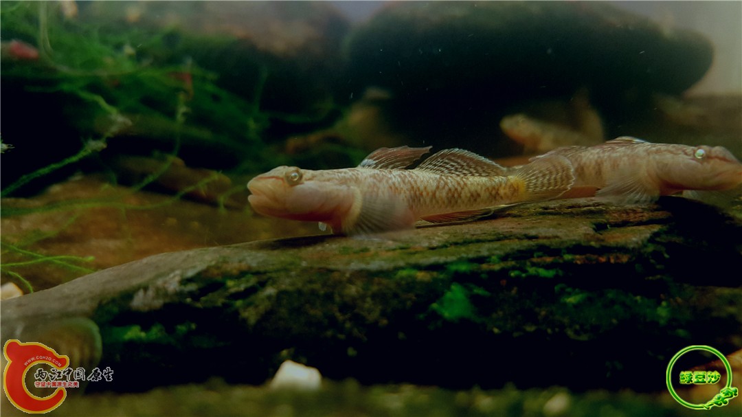 2016-05-03 23.16.46.jpg