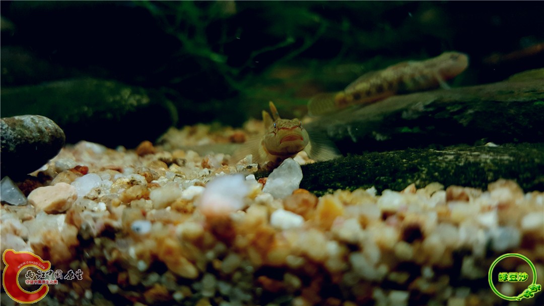 2016-05-03 23.20.48.jpg