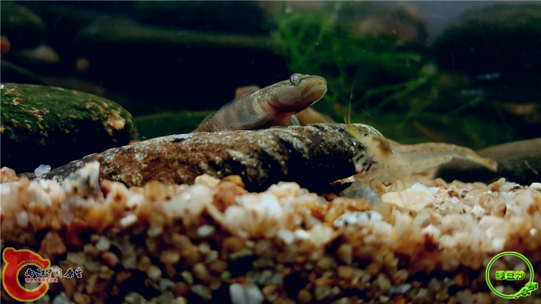 2016-05-03 23.22.20.jpg