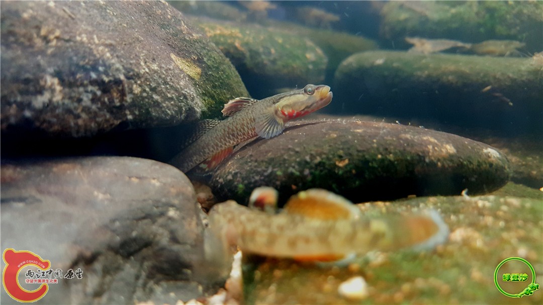 2016-05-02 15.29.45.jpg