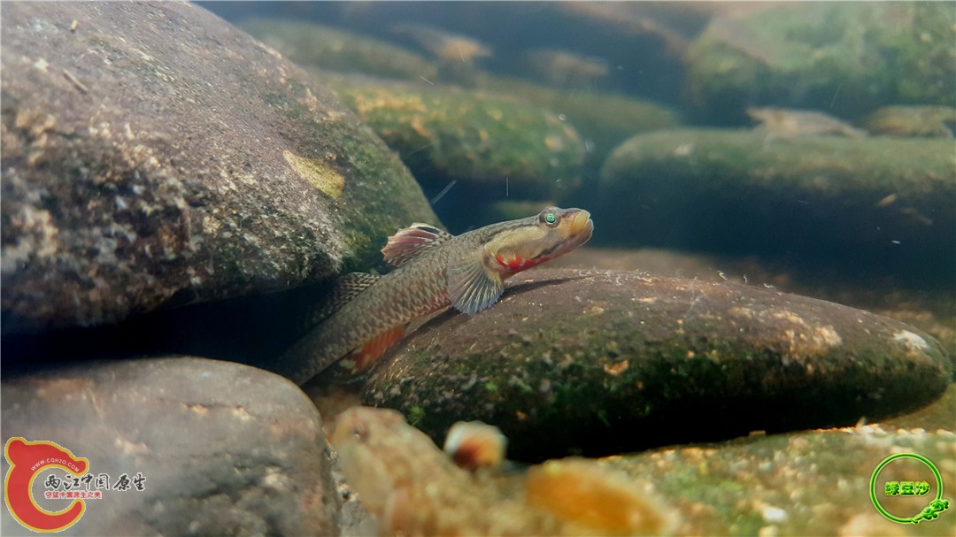 2016-05-02 15.30.14.jpg