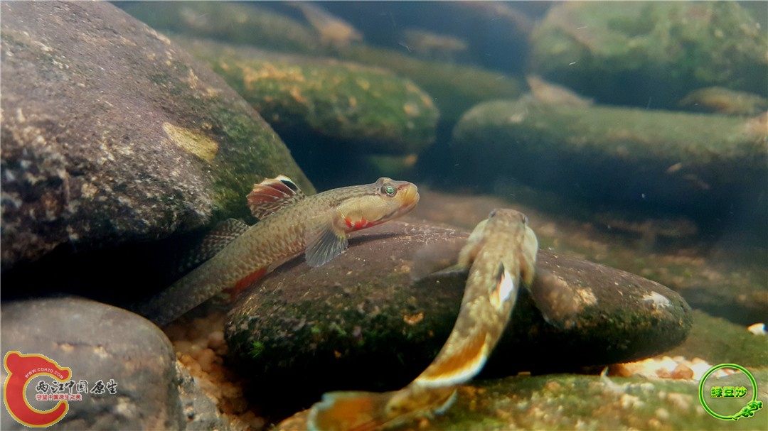 2016-05-02 15.30.45.jpg