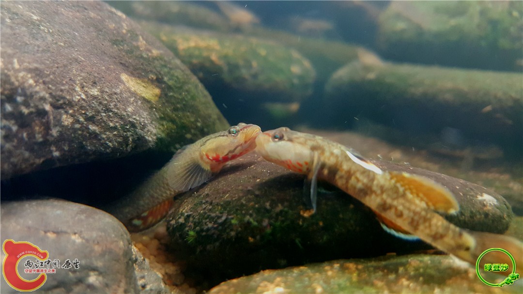 2016-05-02 15.31.25.jpg