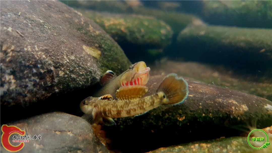 2016-05-02 15.32.44.jpg