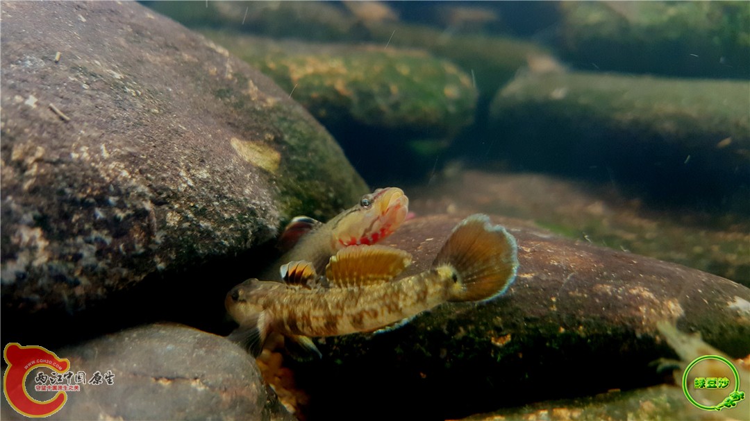 2016-05-02 15.33.28.jpg