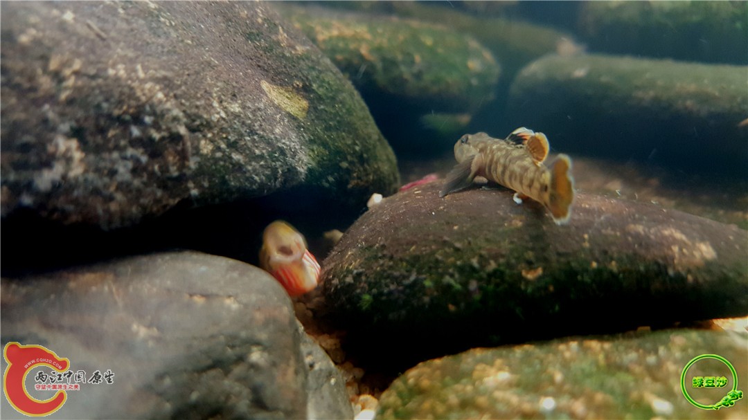 2016-05-02 15.35.41.jpg