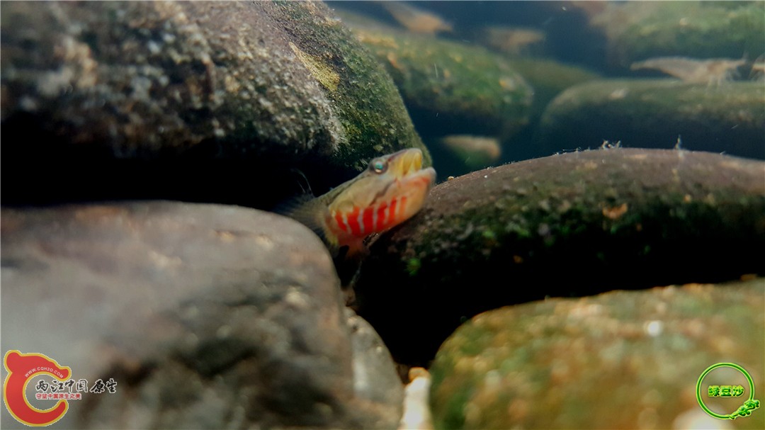 2016-05-02 15.37.21.jpg