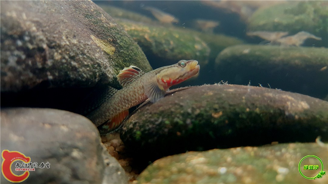 2016-05-02 15.40.26.jpg