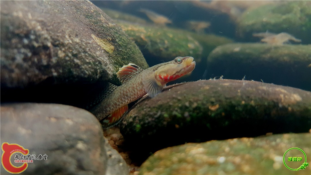 2016-05-02 15.40.55.jpg