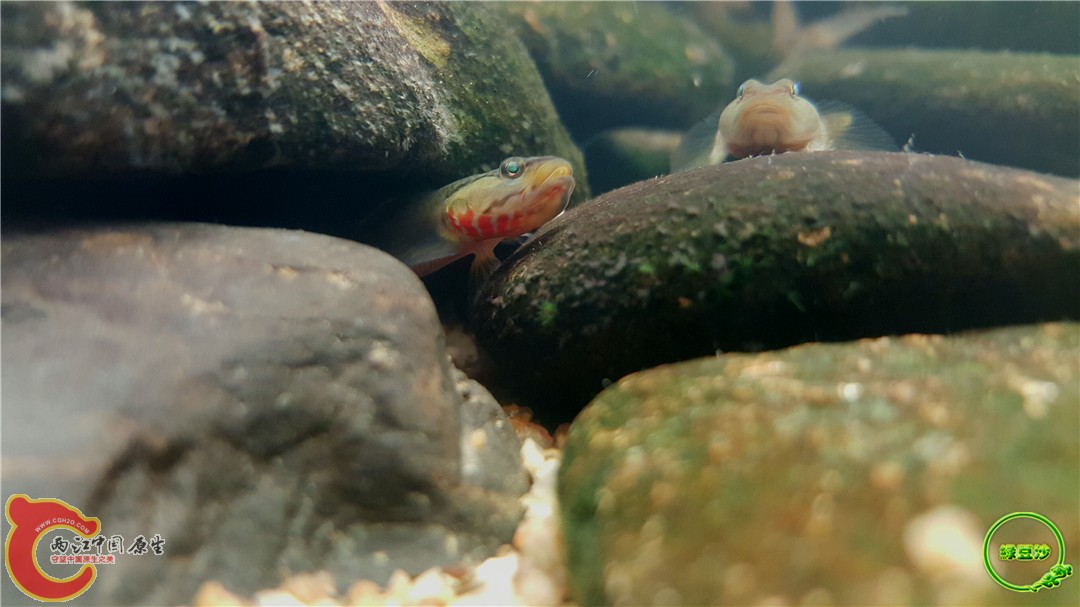 2016-05-02 15.51.00.jpg