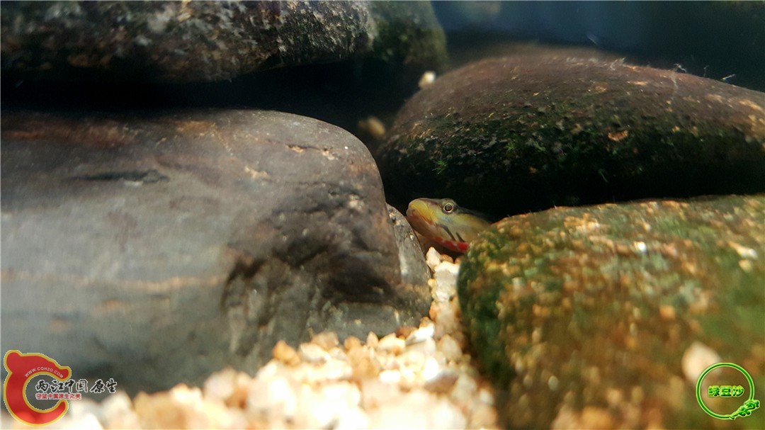 2016-05-02 16.04.18.jpg