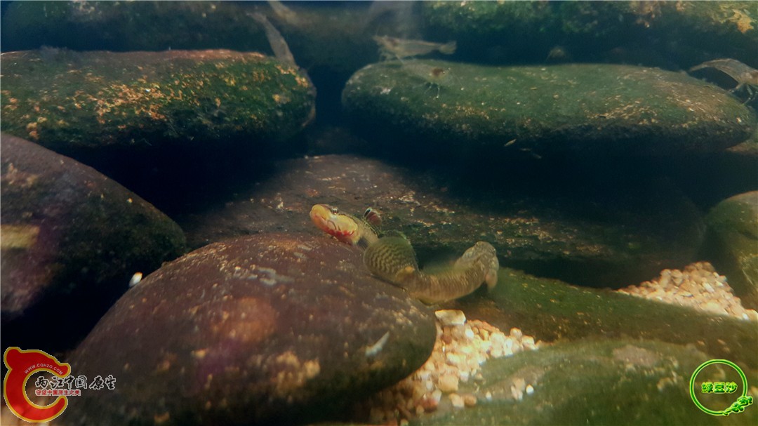 2016-05-02 17.08.07.jpg