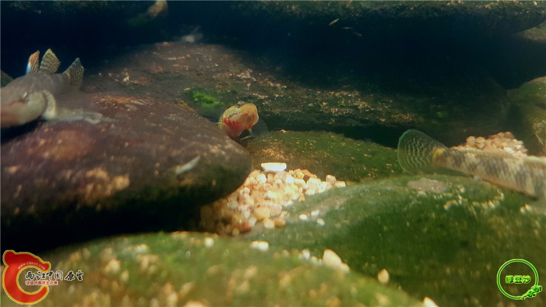 2016-05-02 17.10.31.jpg