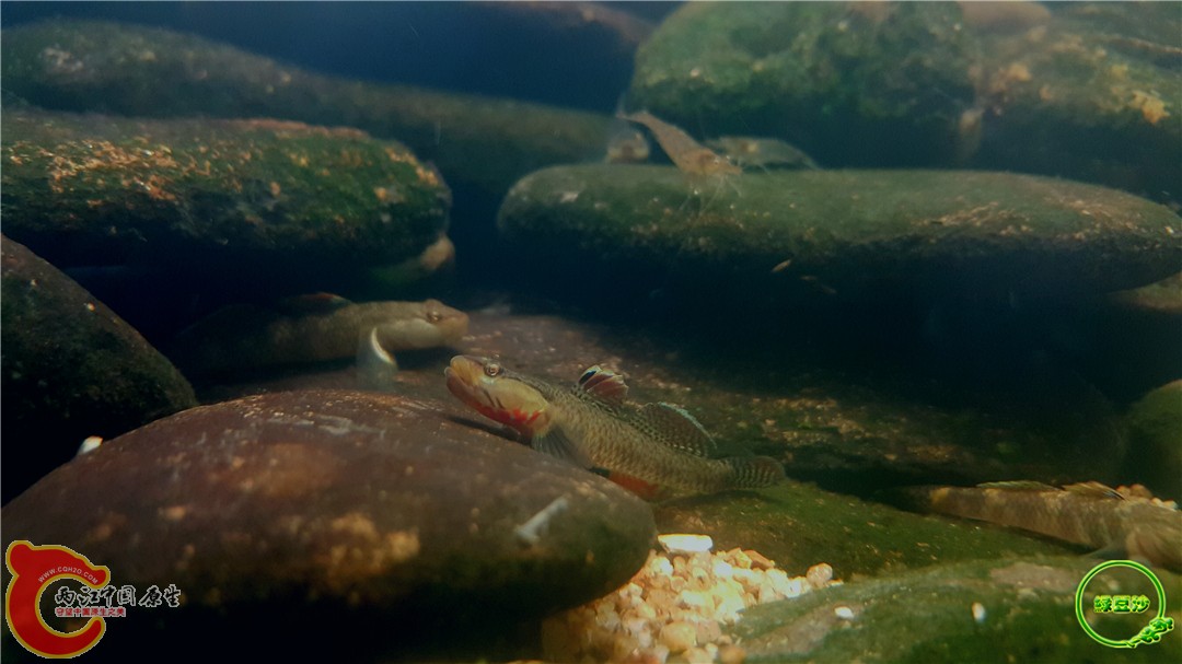 2016-05-02 17.11.06.jpg