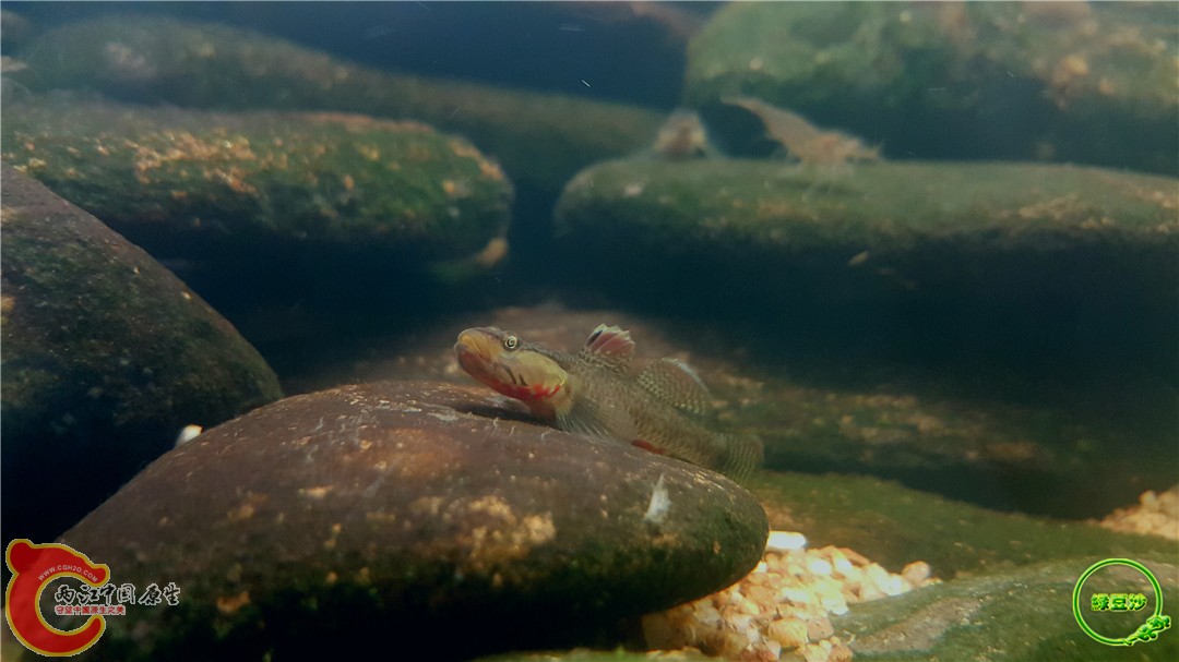 2016-05-02 17.12.33.jpg