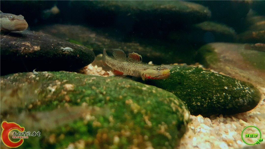 2016-05-02 18.21.42.jpg