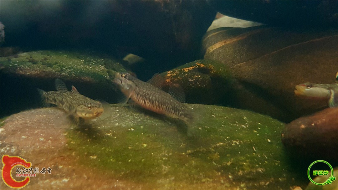 2016-05-02 18.24.20.jpg