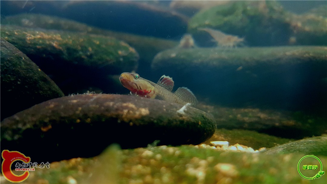 2016-05-02 18.25.48.jpg