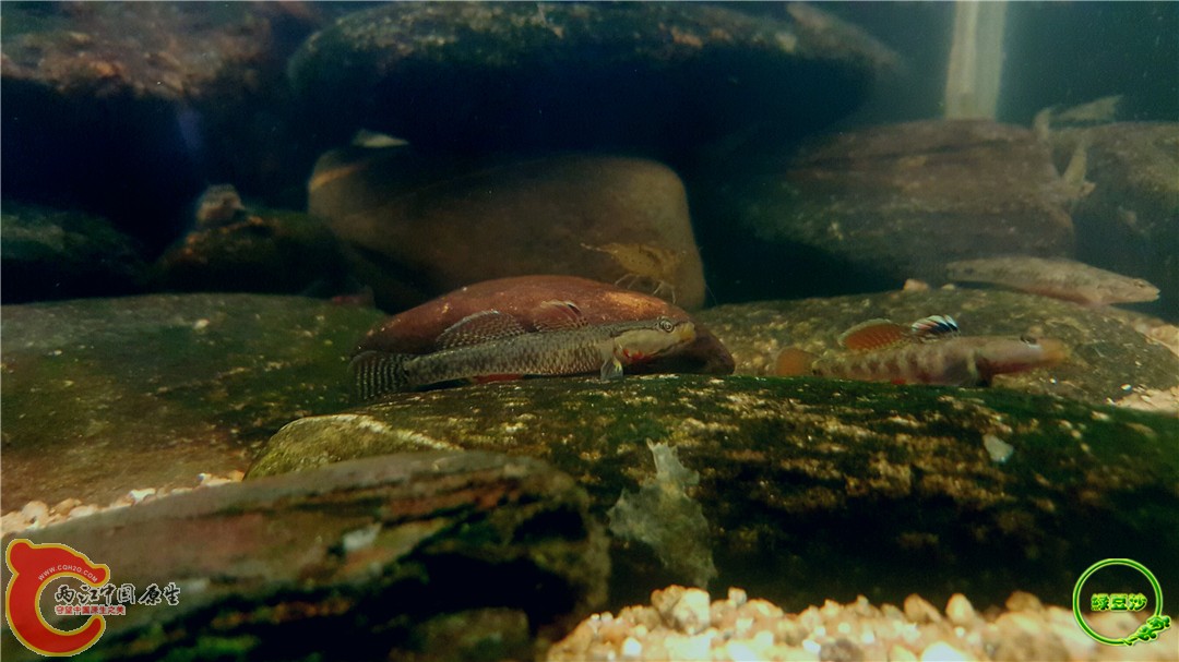 2016-05-02 18.33.57.jpg