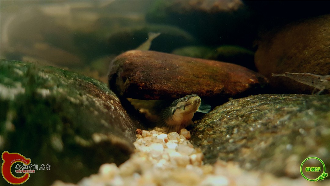 2016-05-02 18.34.46.jpg