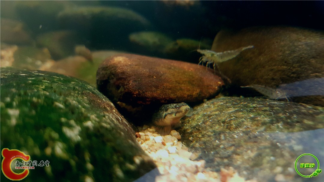 2016-05-02 18.35.00.jpg