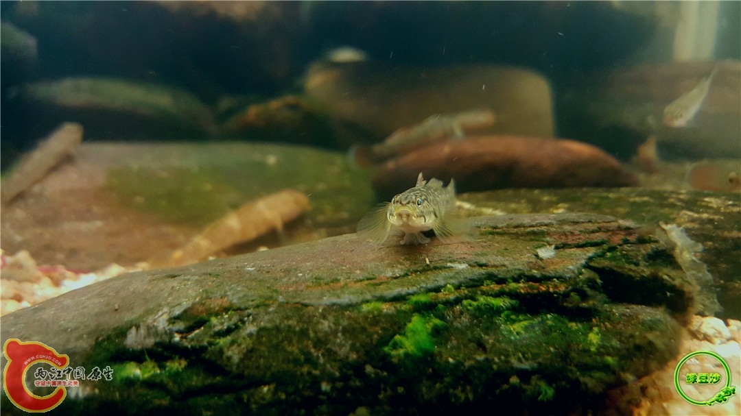 2016-05-02 19.02.32.jpg