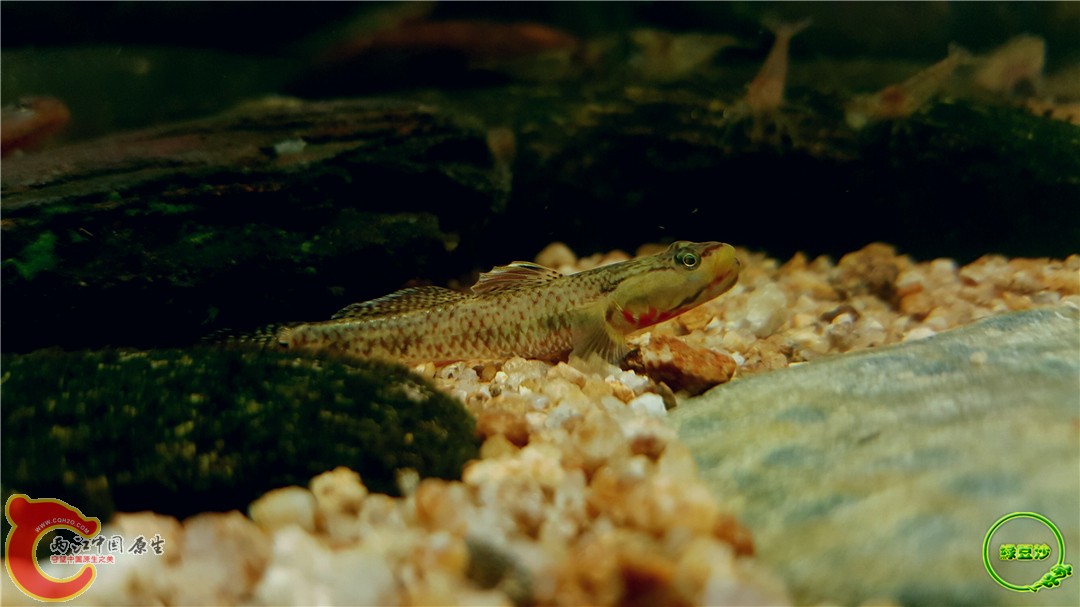 2016-05-02 23.33.44.jpg