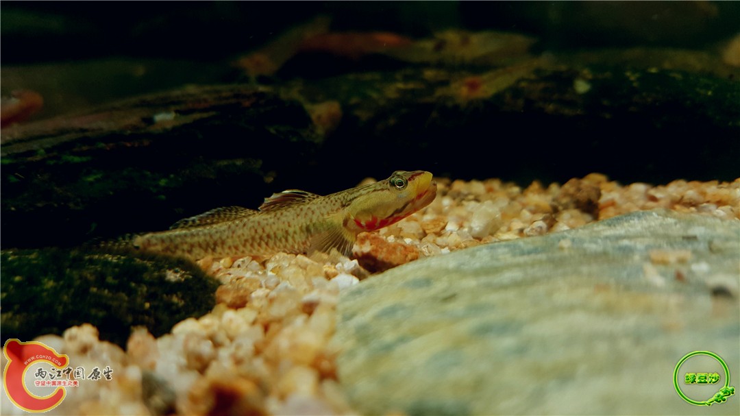 2016-05-02 23.34.11.jpg