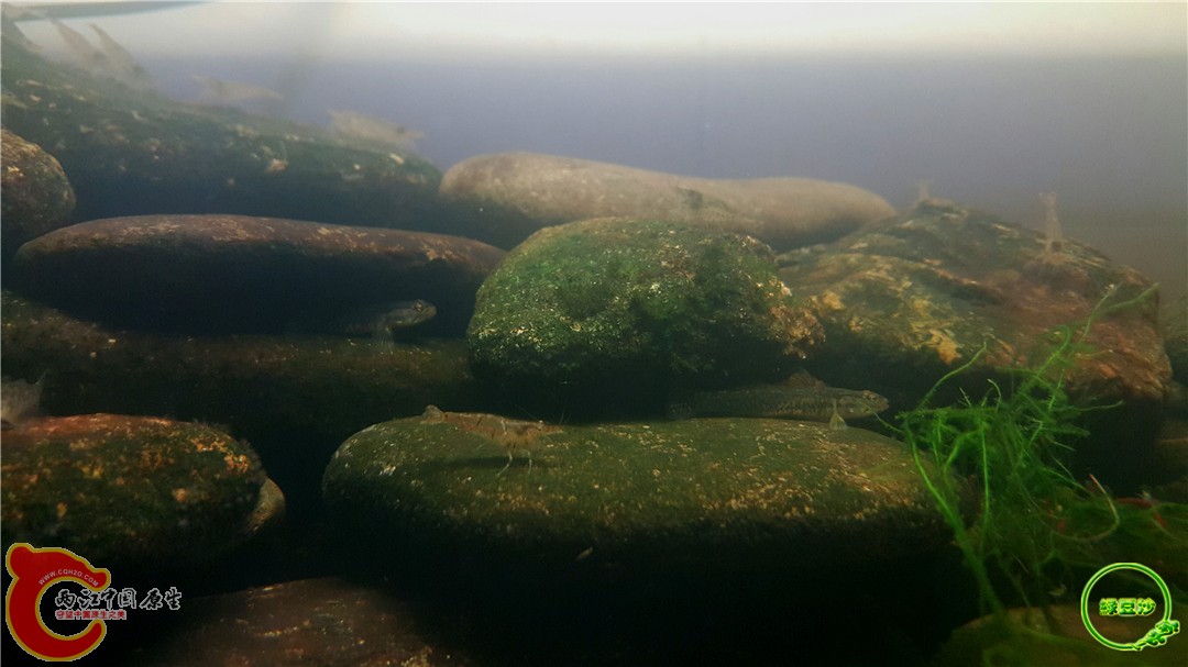 2016-05-03 21.28.09.jpg