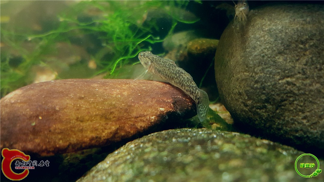 2016-05-03 23.24.52.jpg