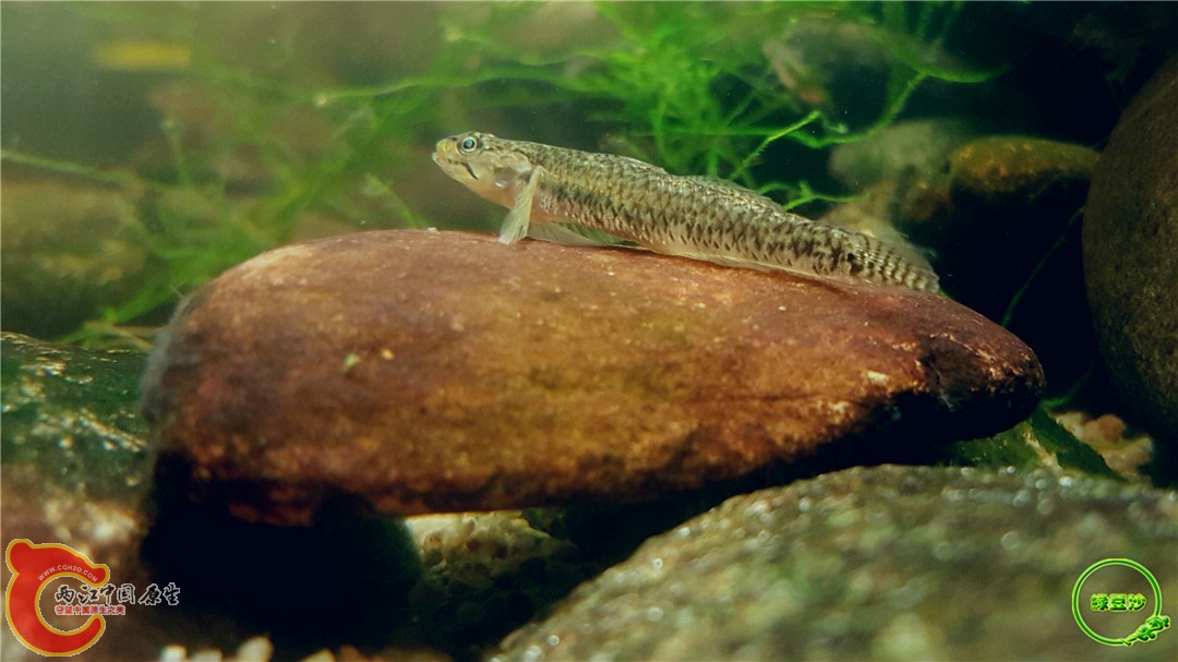 2016-05-03 23.26.02.jpg