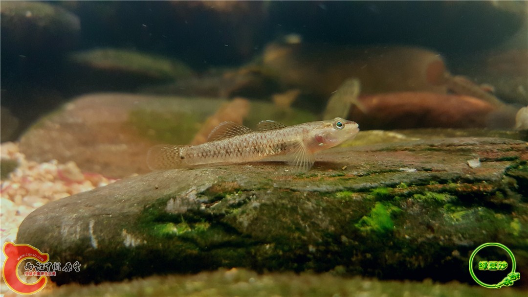 2016-05-02 16.15.32.jpg