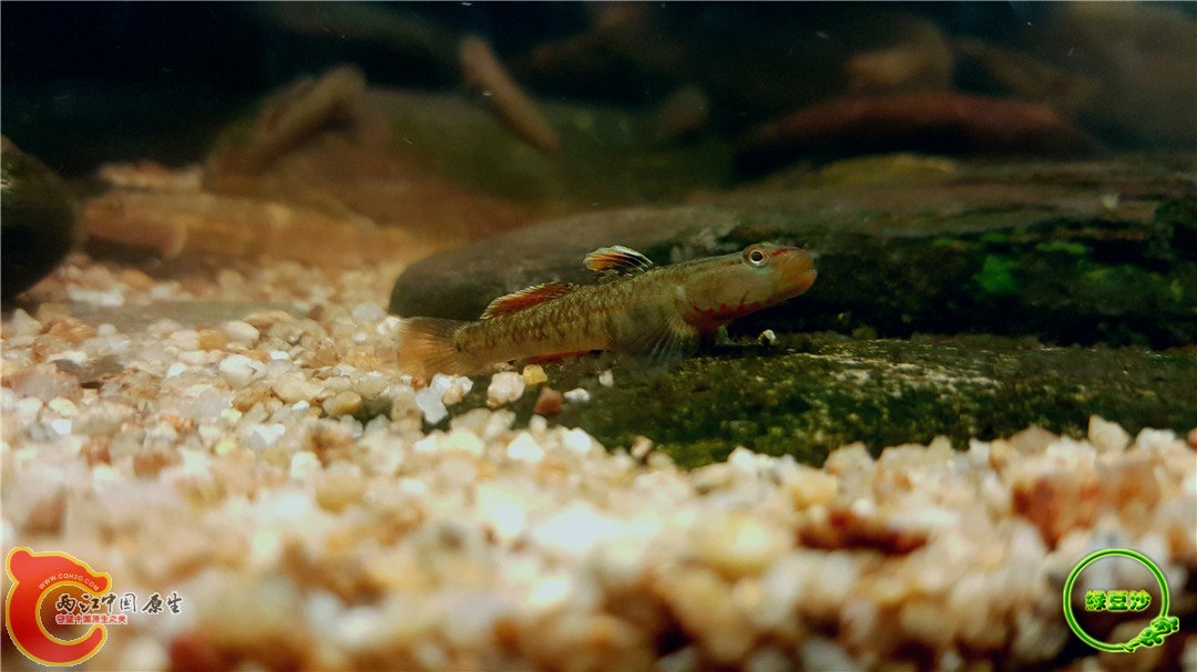 2016-05-02 16.25.46.jpg