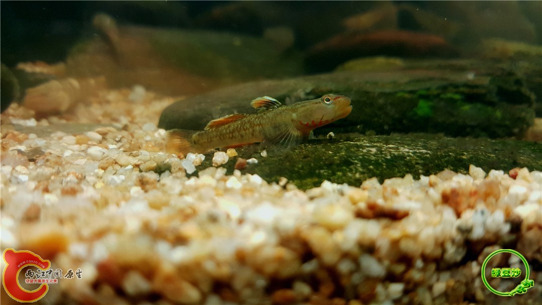 2016-05-02 16.27.28.jpg