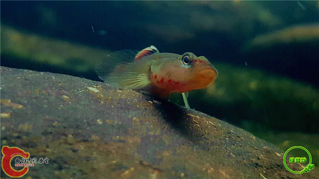 2016-05-02 17.09.50.jpg